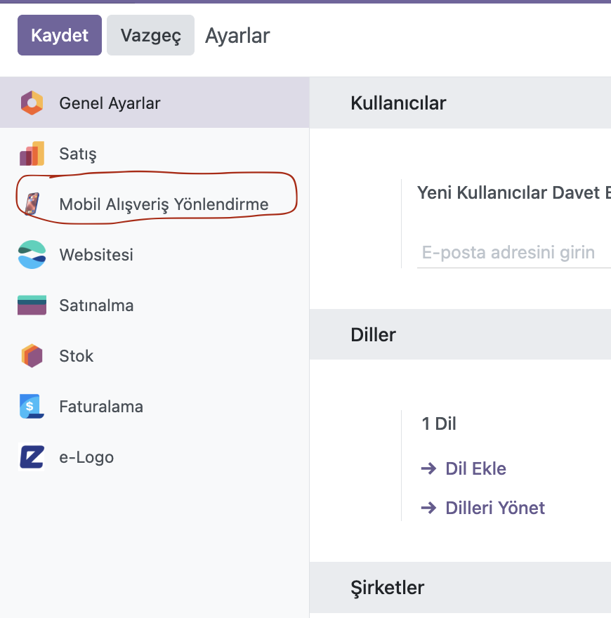 Mobil Görünüm Modülü